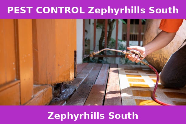 PEST CONTROL Zephyrhills South